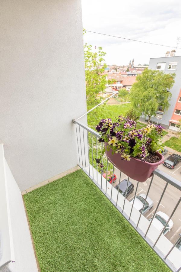 Cosy Apartment Hugo 奥西耶克 外观 照片